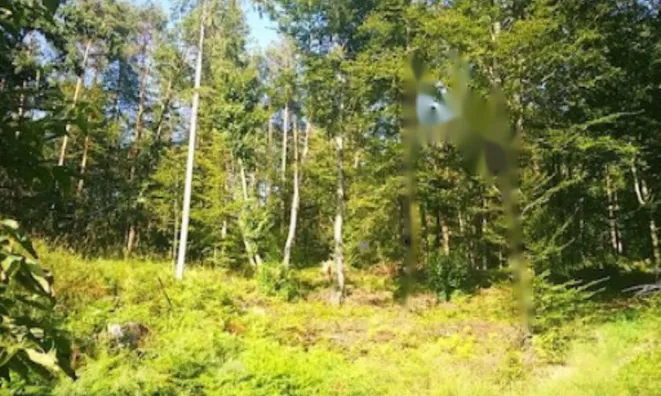 Недвижимость Земельный участок в районе Чрнушка Гмайна: 3