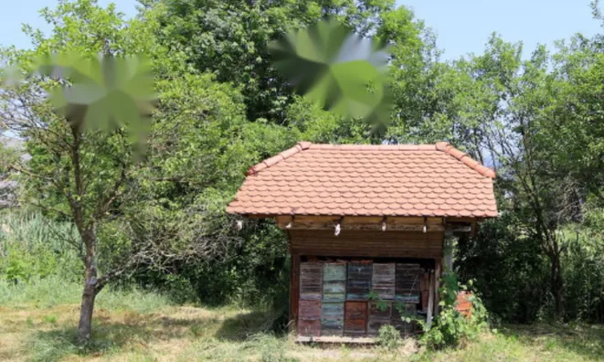 Недвижимость Дом, Студенчике: 2