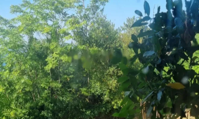 Недвижимость Дом, Порторож: 4