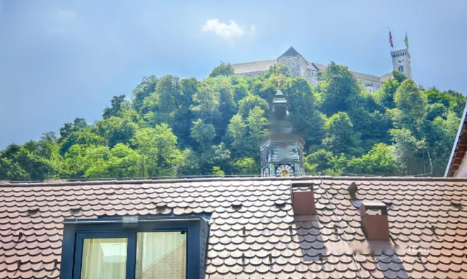 Недвижимость Квартира, 5 и более комнат в Центре Любляны: 11