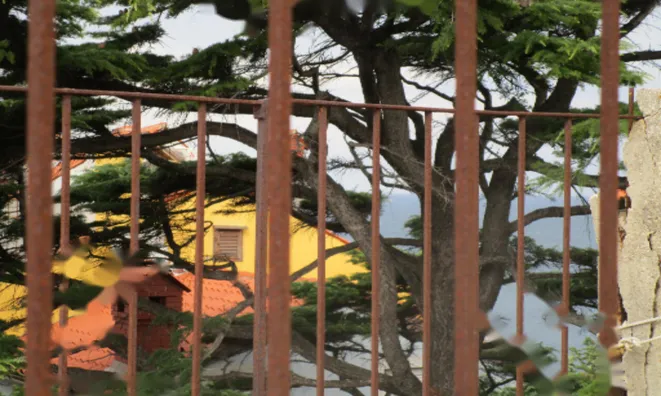 Недвижимость Квартира, 4-комнатная, центр Пирана: 15