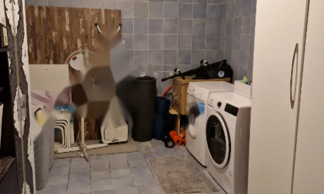 Недвижимость Квартира, Другое Копер.: 19