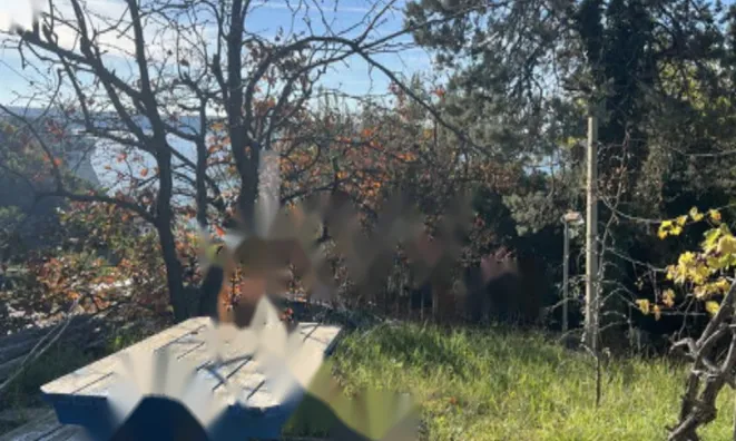 Недвижимость Четырёхкомнатная квартира Пиран: 2