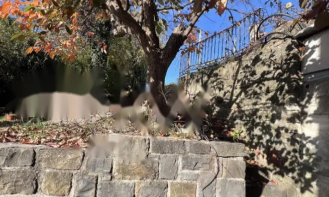 Недвижимость Четырёхкомнатная квартира Пиран: 20