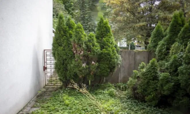 Недвижимость Двухкомнатная квартира в Шишке: 8