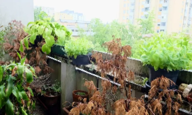 Недвижимость Квартира 4.5 комн. Нова Ежица: 4