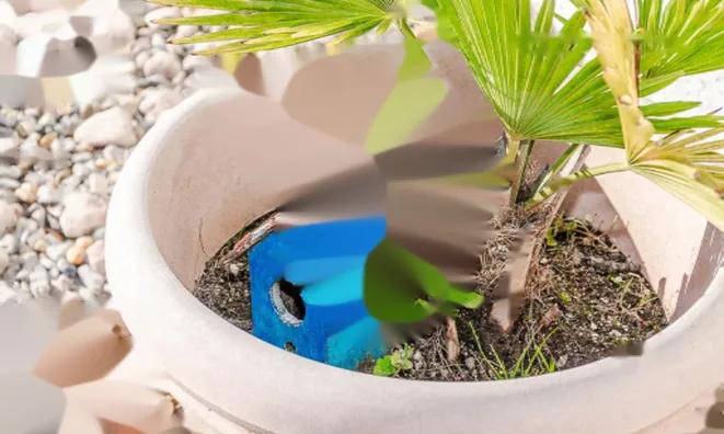 Недвижимость Квартира, 1-комнатная, Луция: 2