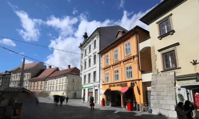 Недвижимость Дом, Старая Любляна: 26