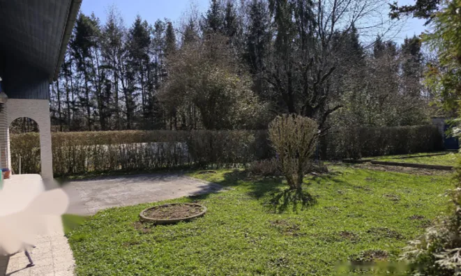 Недвижимость Дом, Дравле: 11