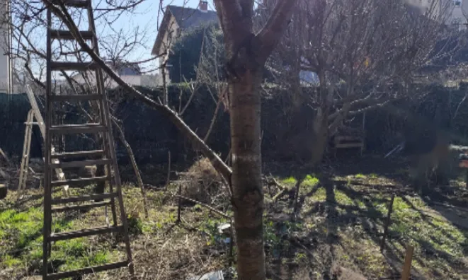 Недвижимость Дом, Любляна, Шишка: 5