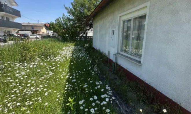 Недвижимость Дом, Трново: 6