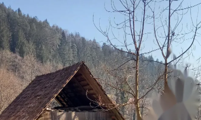 Недвижимость Усадьба, ферма Нижняя Вижинга.: 6