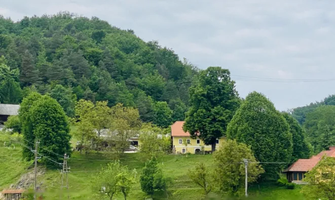 Недвижимость Усадьба, ферма Подсреда, Козье.: 2