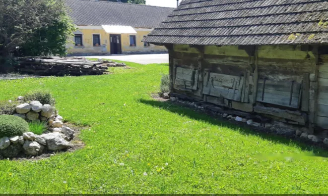 Недвижимость Усадьба, ферма Орехи в Бизелье.: 1