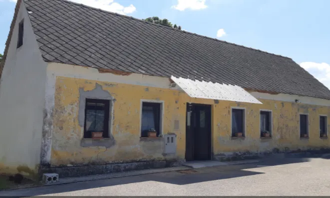 Недвижимость Усадьба, ферма Орехи в Бизелье.: 3