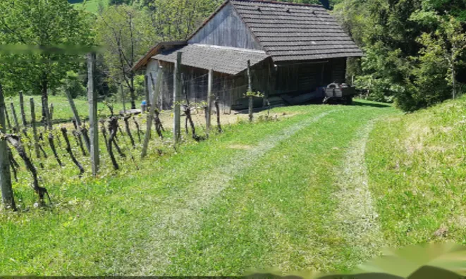 Недвижимость Усадьба, ферма Орехи в Бизелье.: 21