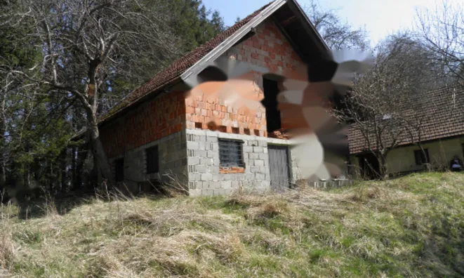 Недвижимость Усадьба и ферма Мария Река: 3