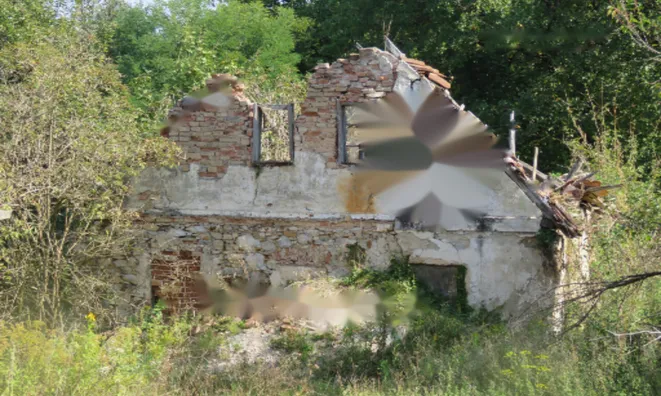 Недвижимость Поместье, ферма Горичица под Кримом: 19