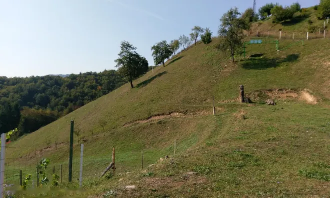 Недвижимость Усадьба Кметиянова Стражна.: 3