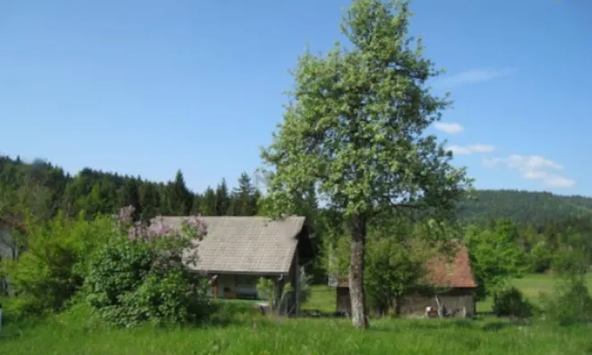 Недвижимость Усадьба, ферма Беч.: 3