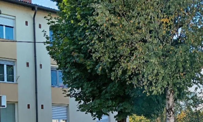 Недвижимость Квартира, 1-комнатная Ново Ярше: 3