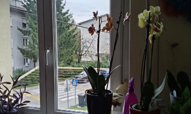 Недвижимость Квартира, 1-комнатная Ново Ярше: 18