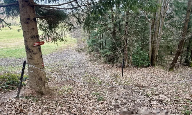 Недвижимость Дом Яворник: 15