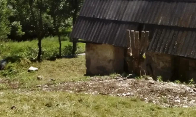 Недвижимость Дом, Локовец: 9
