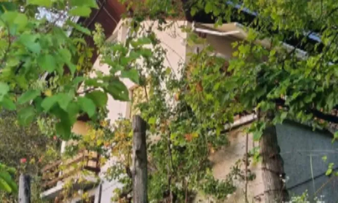Недвижимость Дом в Нарапле на природе: 5