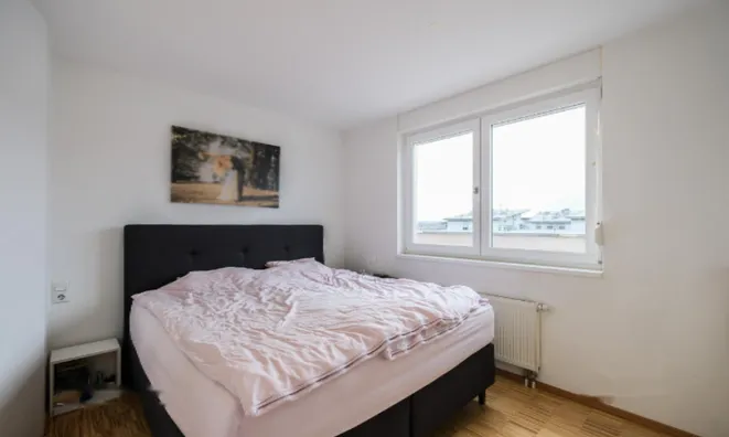 Недвижимость Четырёхкомнатная квартира Брод: 17