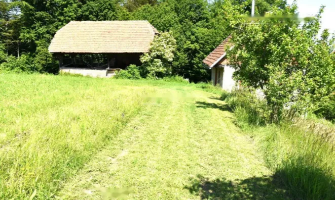 Недвижимость Дом, Планински Врх, Шентюр: 6