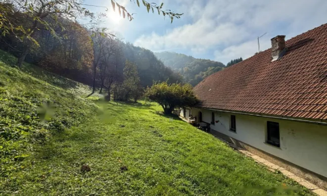 Недвижимость Дом Куншперк Бистрица об Сотли: 12