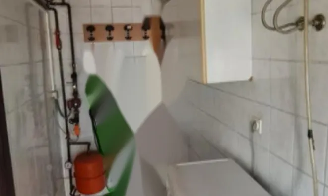 Недвижимость Дом, Чирник, Чатешке Топлице: 2