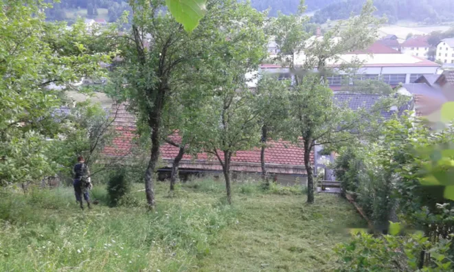 Недвижимость Дом в Заводе, Содражица: 5