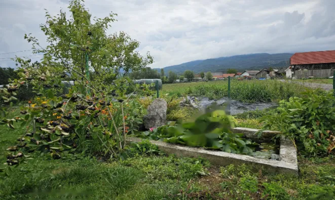 Недвижимость Дом, Другое Вели́ко Мраше́во: 17
