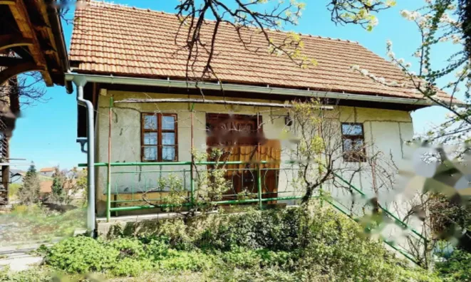 Недвижимость Дом Вирштань: 9