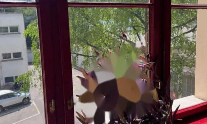 Недвижимость Квартира на Баварском Дворе: 14