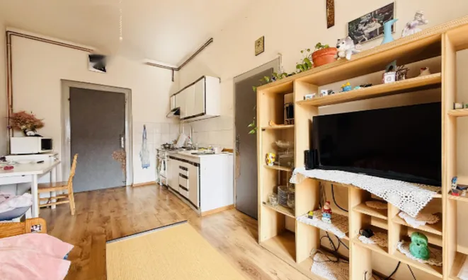 Недвижимость Квартира 1-комнатная Любляна: 3