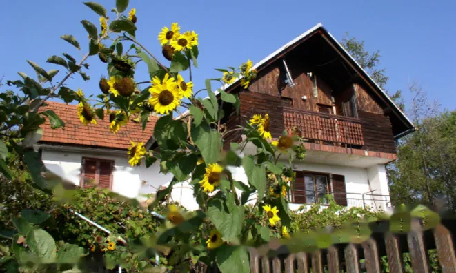 Недвижимость Дом, Бели-Поток-при-Лембергу: 13