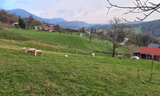 Недвижимость Дом, Бели-Поток-при-Лембергу: 46