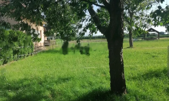 Недвижимость Дом, Средишче-об-Драви: 4