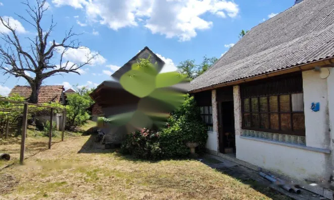 Недвижимость Дом в Свети Юрие: 10