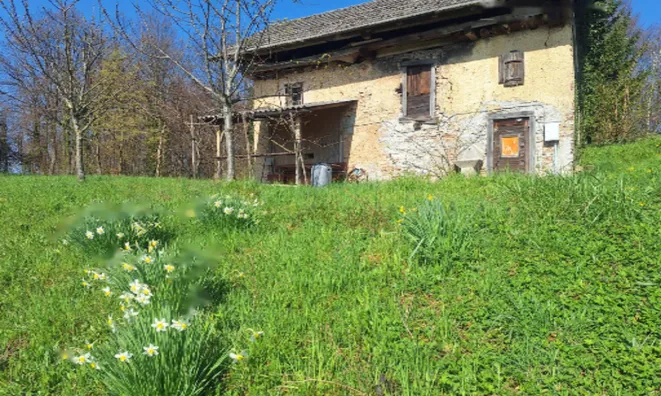 Недвижимость Дом, Тржише, Тельче: 1