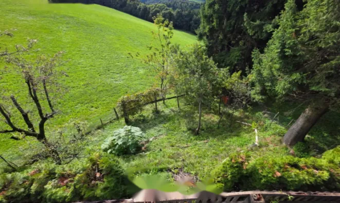 Недвижимость Дом, Планица: 10