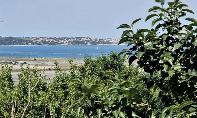 Недвижимость Дом, Сеча: 4