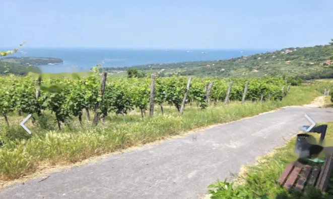 Недвижимость Двухкомнатная квартира в Коломбане: 2