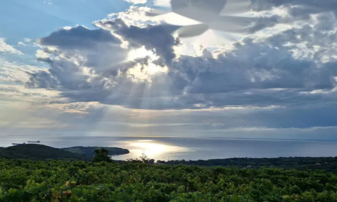 Недвижимость Двухкомнатная квартира в Коломбане: 18