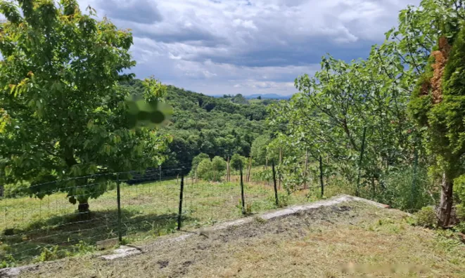 Недвижимость Дом, Тиболци: 14