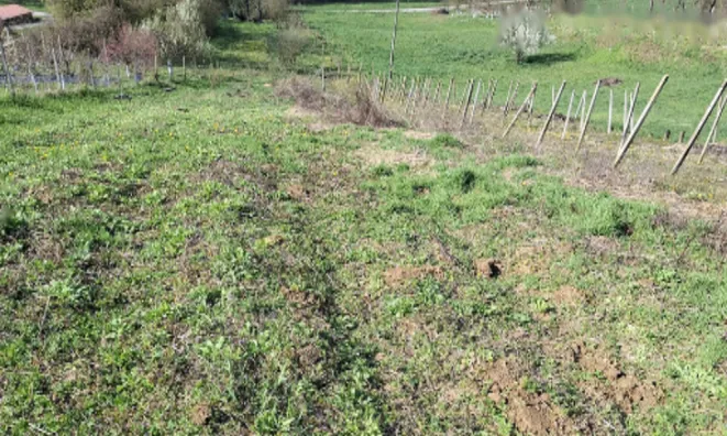 Недвижимость Дом, Тиболци: 17