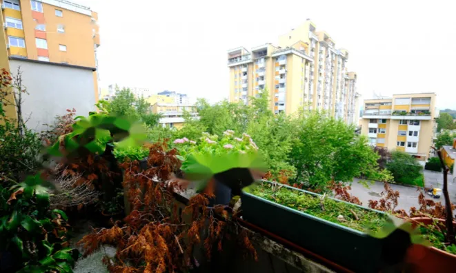 Недвижимость Квартира 4,5 комнаты Бежиград: 17